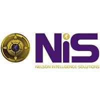 Nelson Intelligence Solutions logo